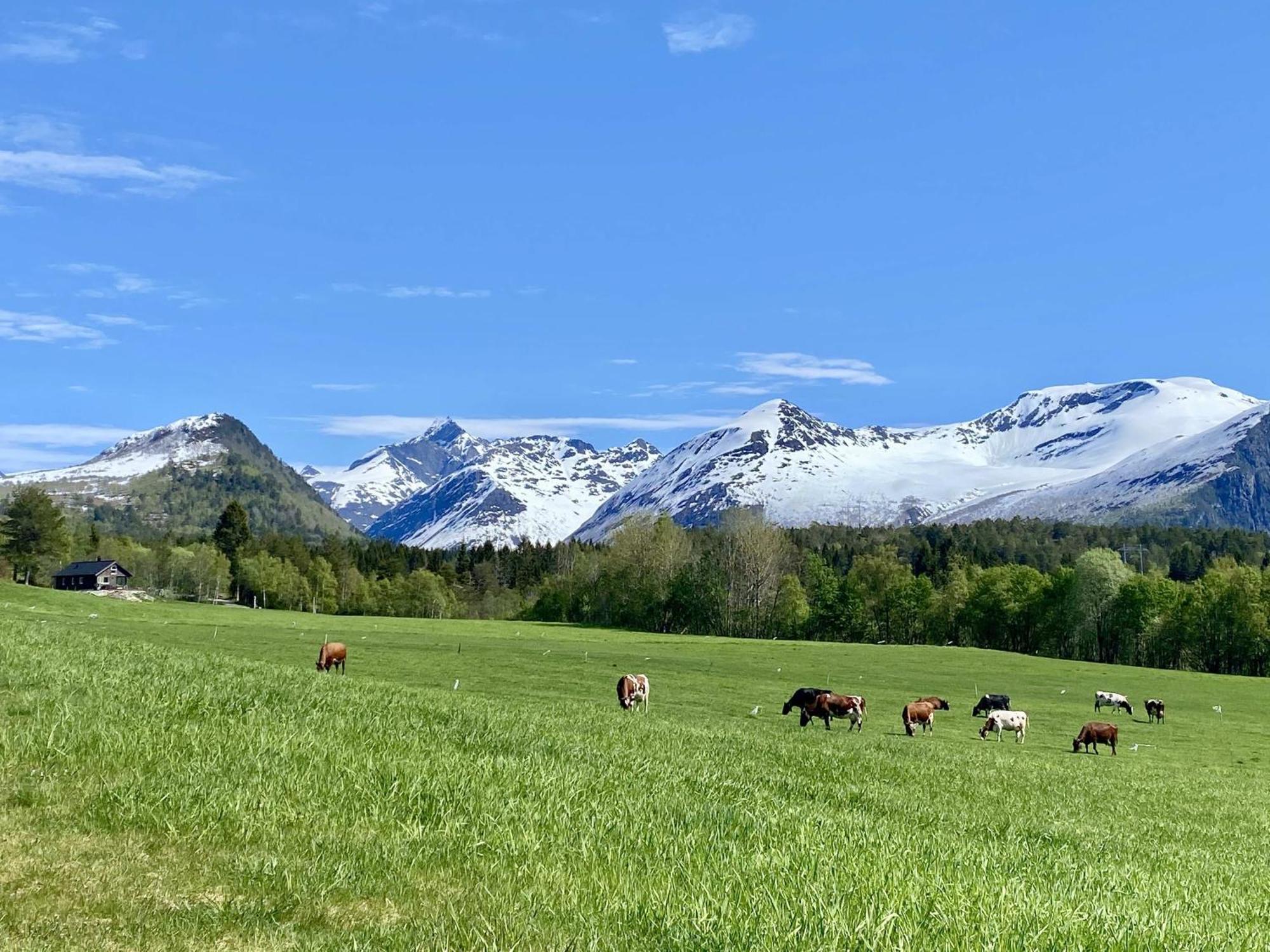 Villa Heinali Hytta Isfjorden Esterno foto