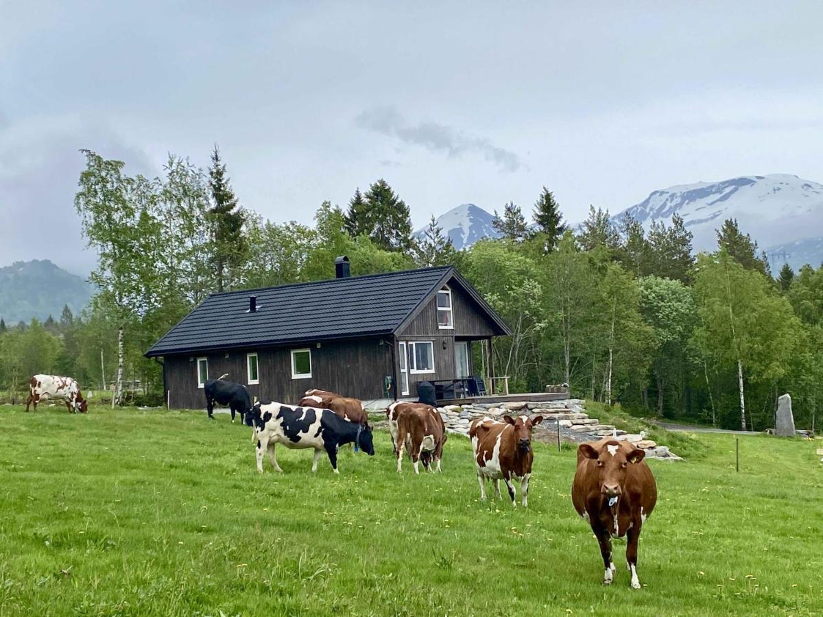Villa Heinali Hytta Isfjorden Esterno foto